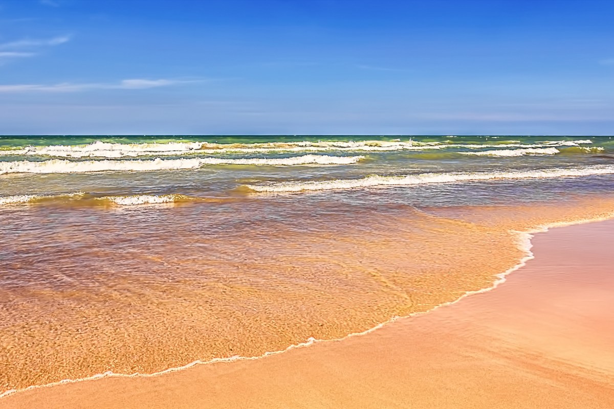 Along the Windy Shore