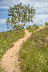 Approaching the Coast