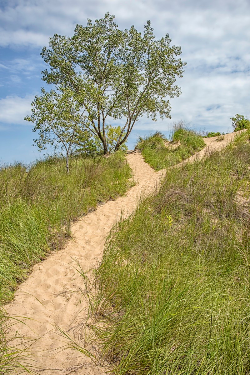 Approaching the Coast