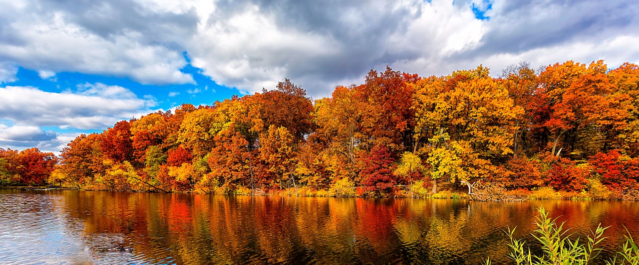 Autumn in Northern Indiana