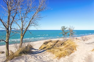 Breezy March Day at Beach
