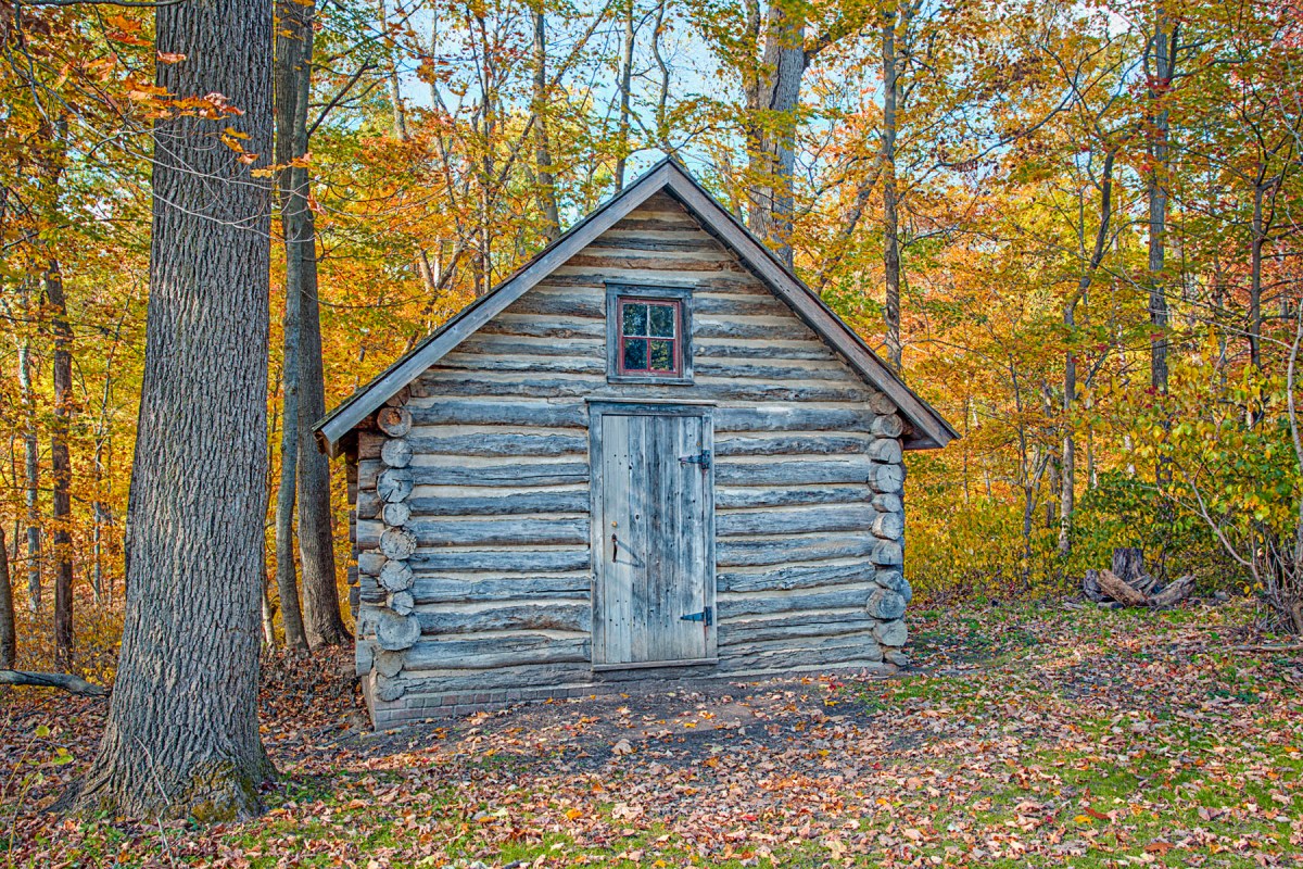 Cabin in Autumn