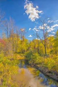 Coffee Creek in Mid-October