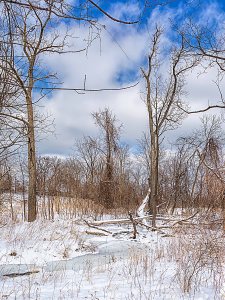 Creek at End of February