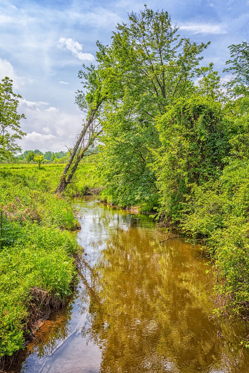 Creek at Start of June