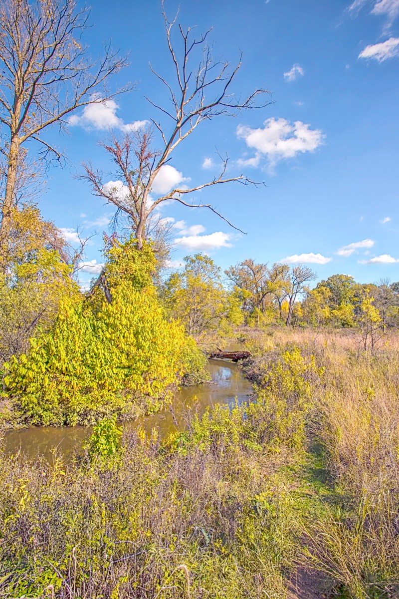 Creek Bend in Middle of October