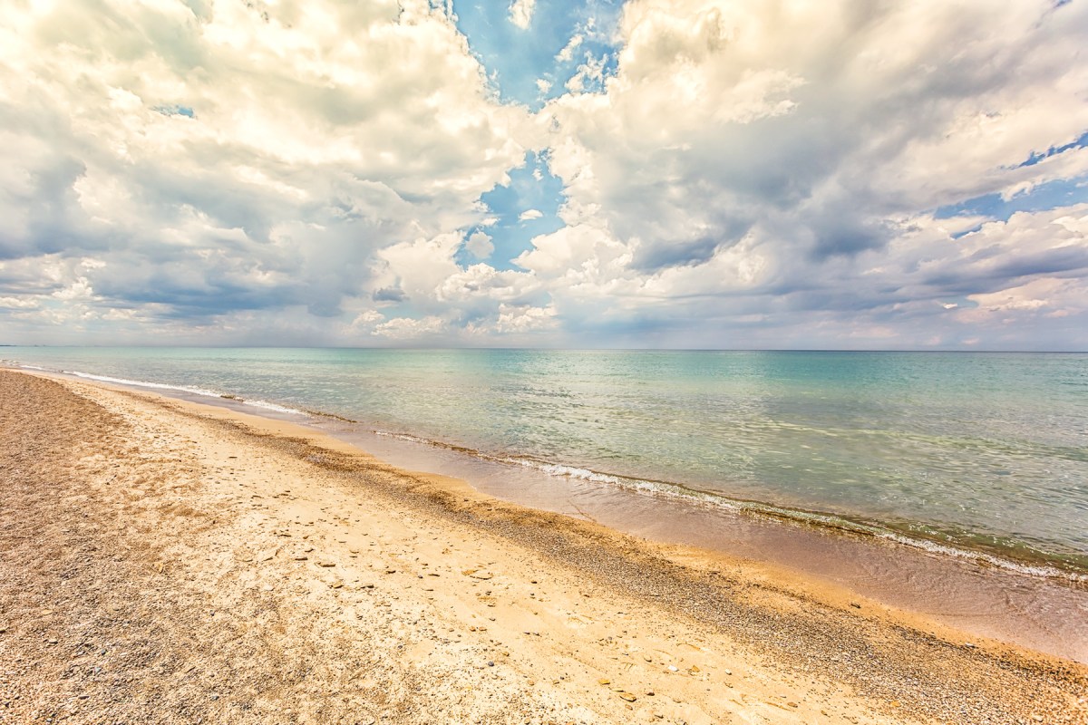 Discovering Crinoids