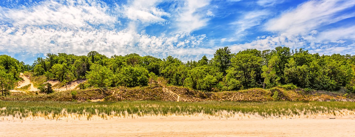 Dudley Cottage Site Landscape