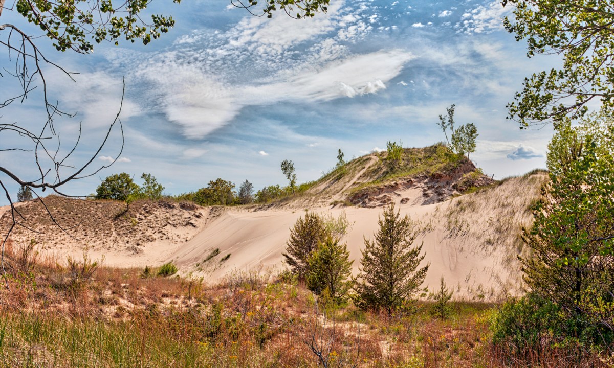 Dune in Early June