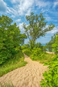 Dune Path in Late September