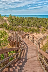 Dune Succession Trail