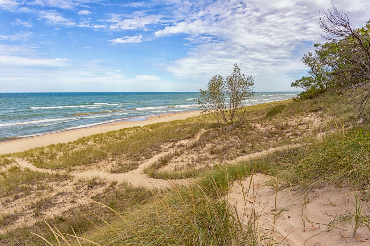 Dune Trail Toward Shore