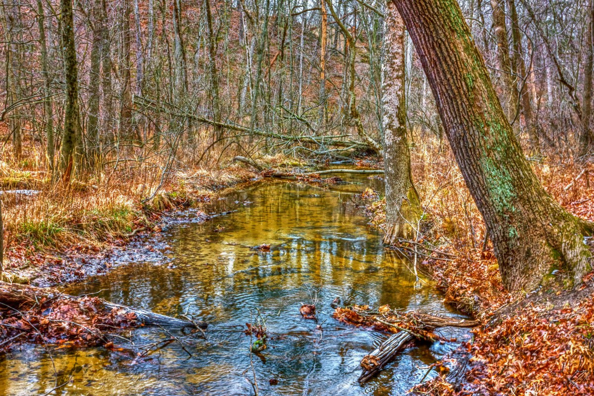 Dunes Creek at End of February