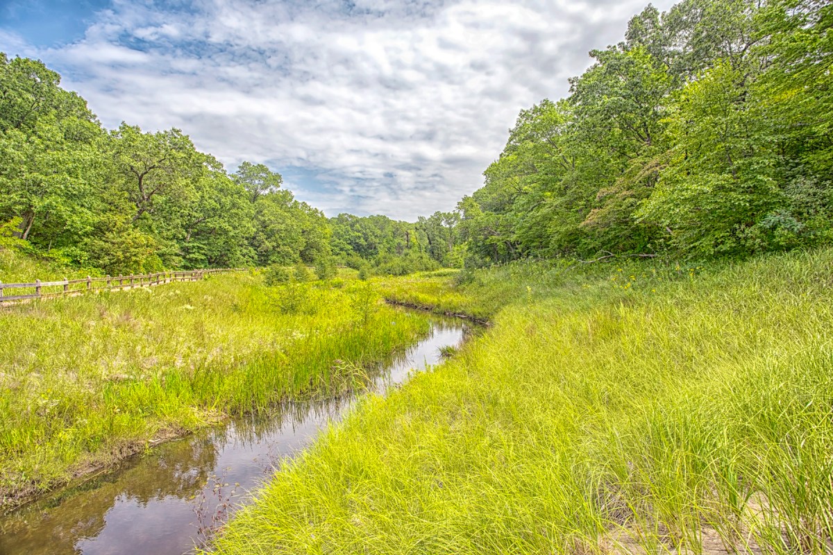 Dunes Creek at Start of September