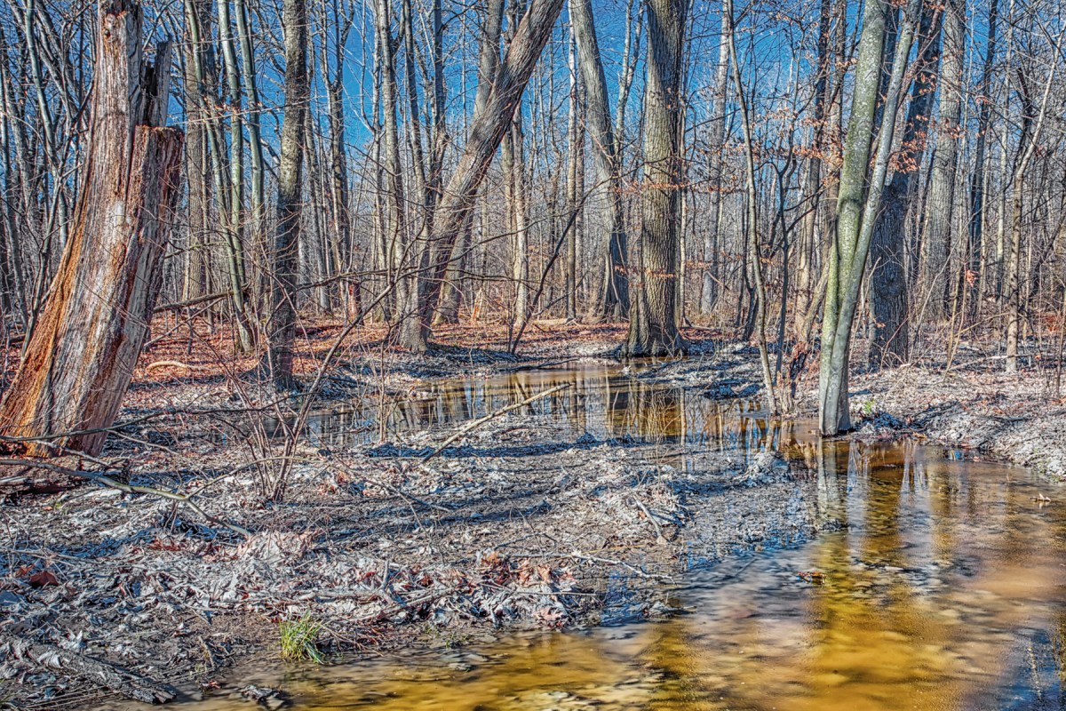 Dunes Creek During February Thaw