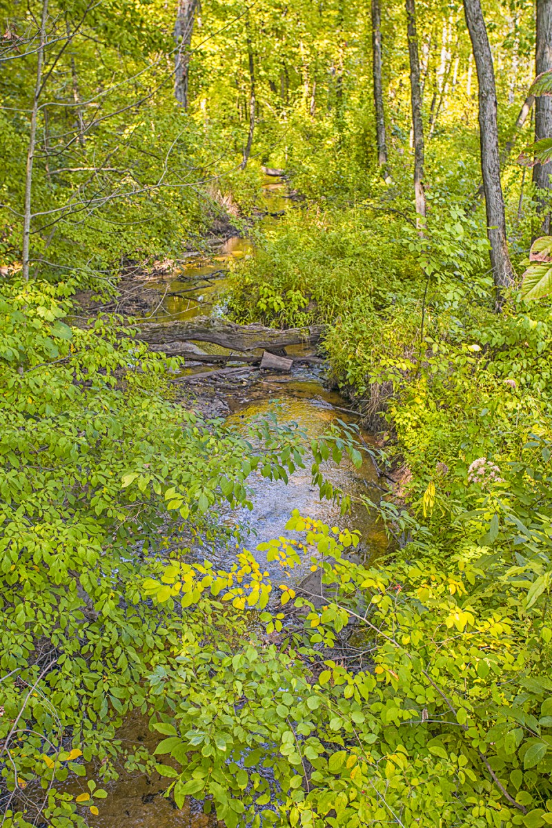 Dunes Creek in Dry Times