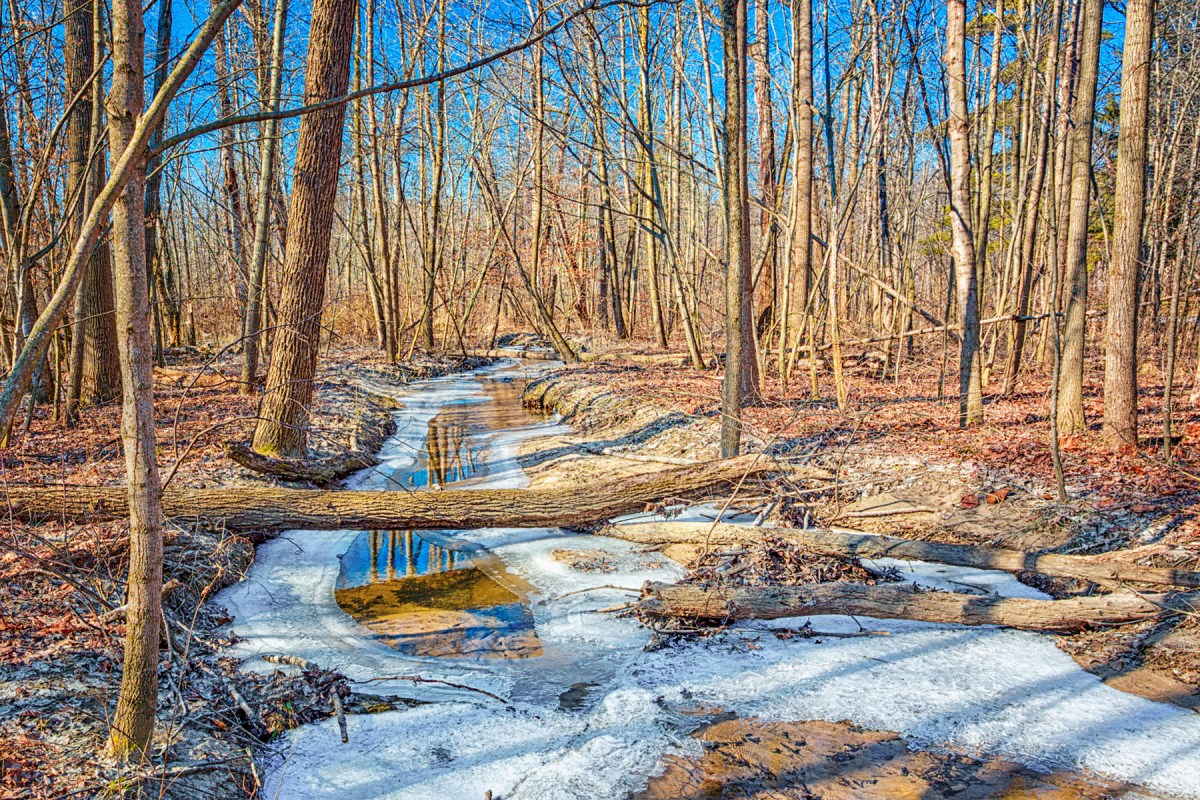 Dunes Creek in February Thaw