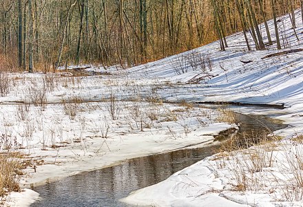 Dunes Creek in Mid-March