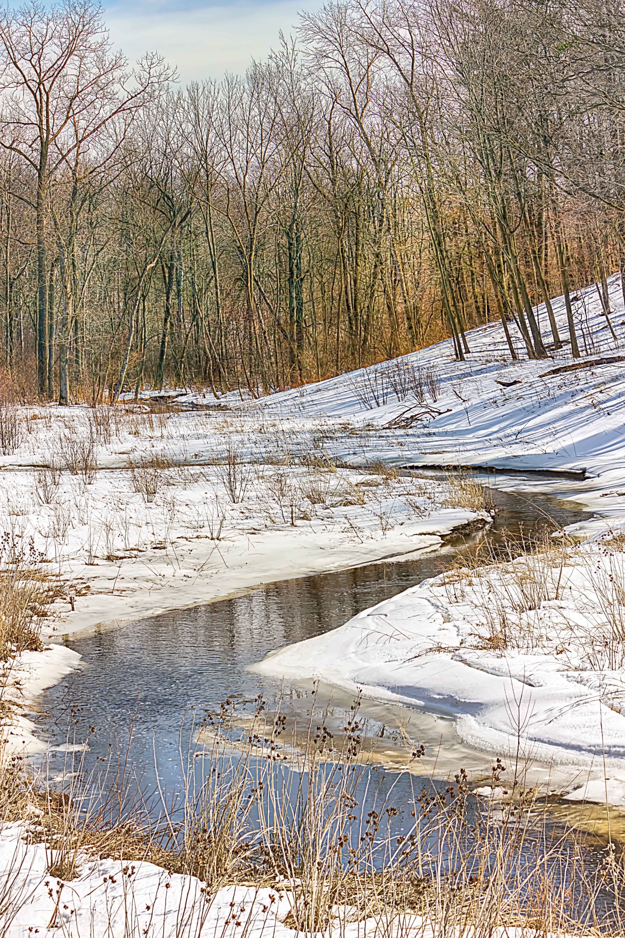 Dunes Creek in Mid-March