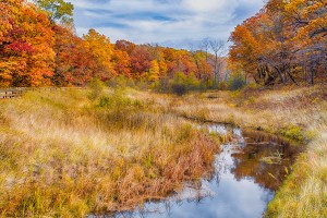 Dunes Creek in Middle of Autumn