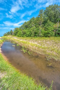 Dunes Creek in September