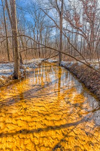 Dunes Creek in Winter