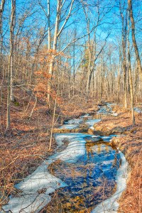 Dunes Creek on February Morning