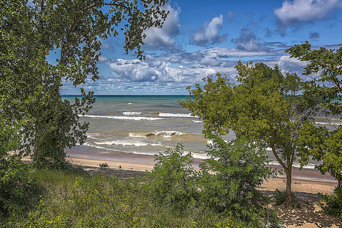 Early September Surf
