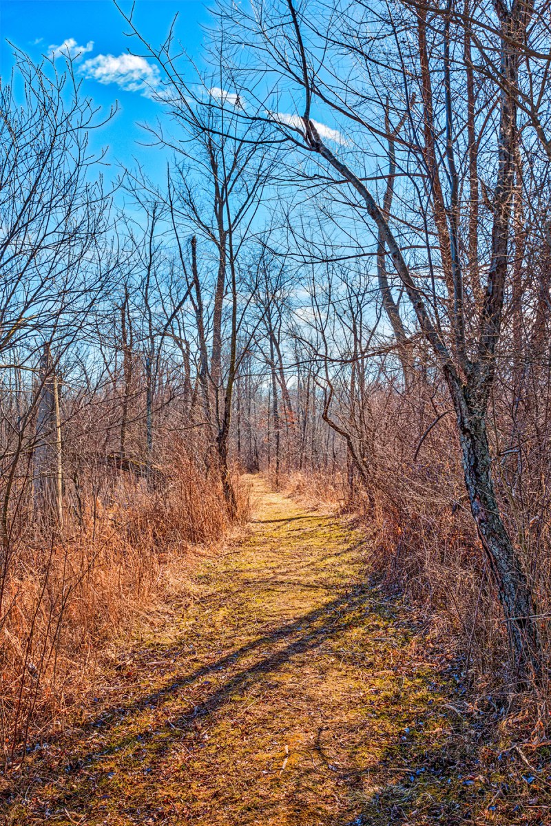 Entering Great Marsh Trail