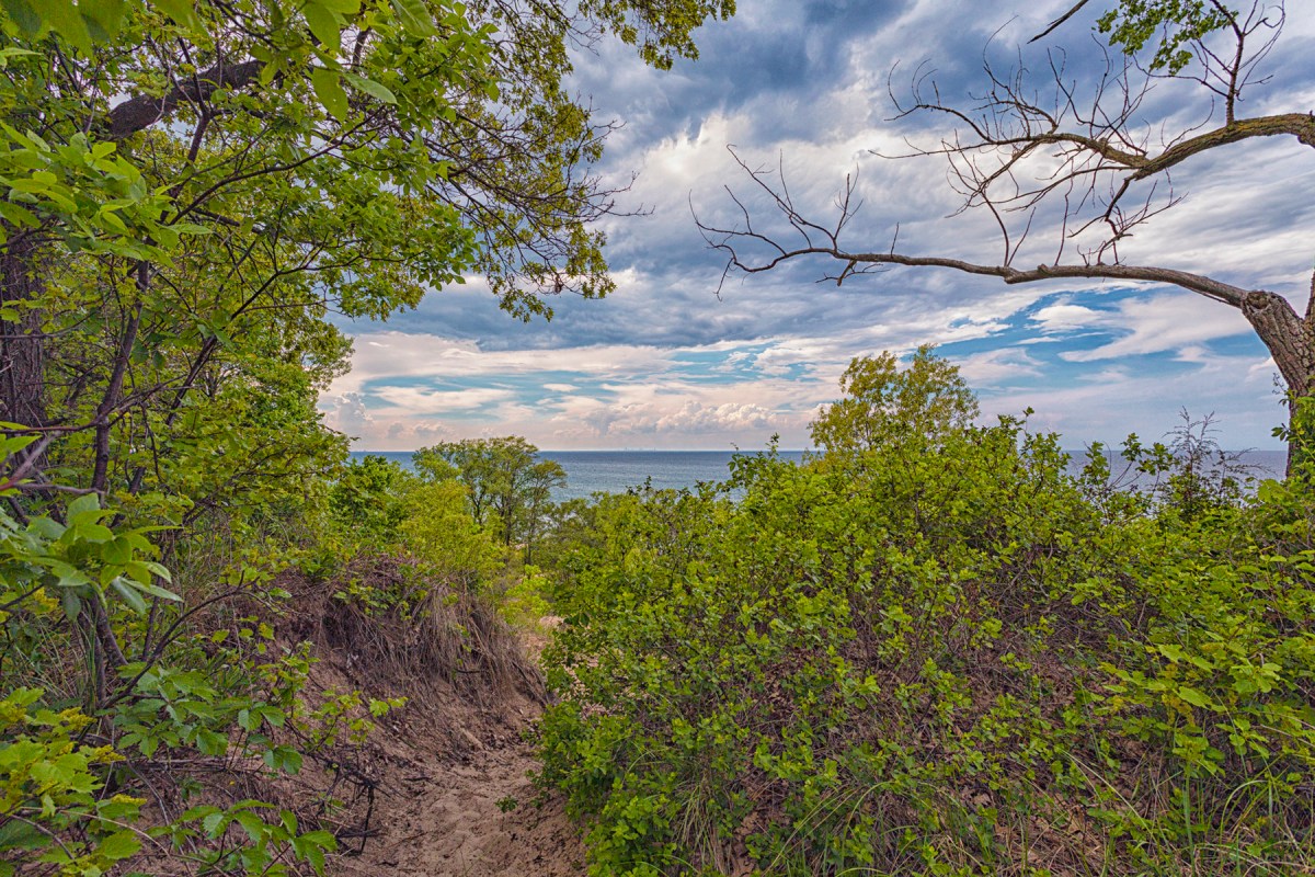 First Glimpse of Lake Michigan