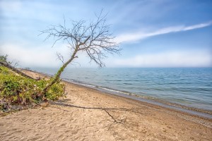 Hazy Day at Mt Baldy Beach