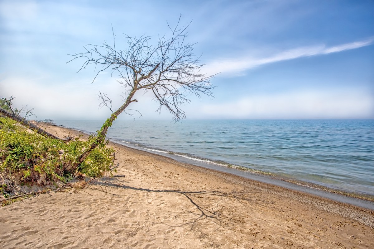 Hazy Day at Mt Baldy Beach