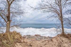 Ice Shelf in Early January