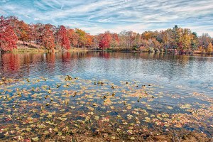 Lake in Mid-November