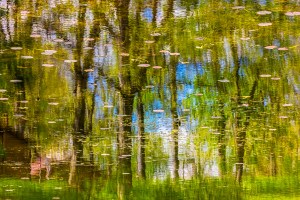 Lake Refections in May