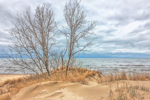 Lake Shore Under Cloud Cover