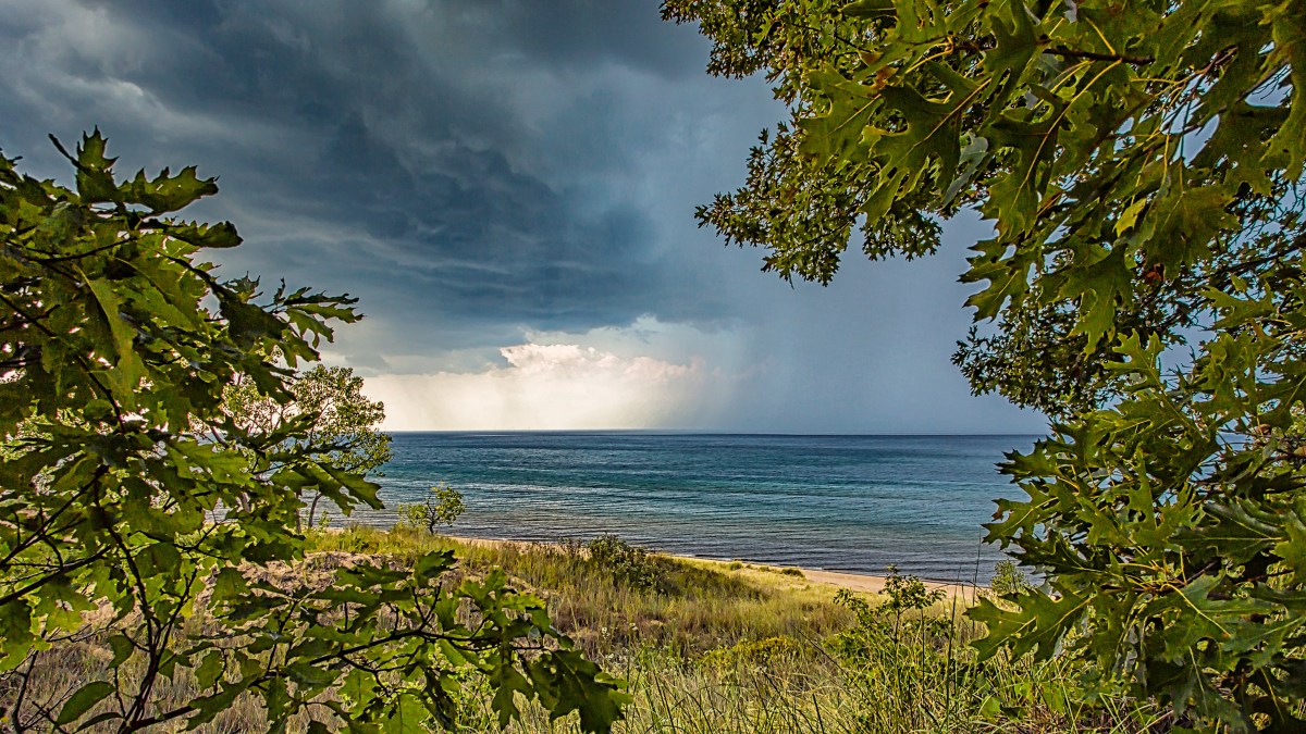 Lake Storm Seen Through Dune Trees