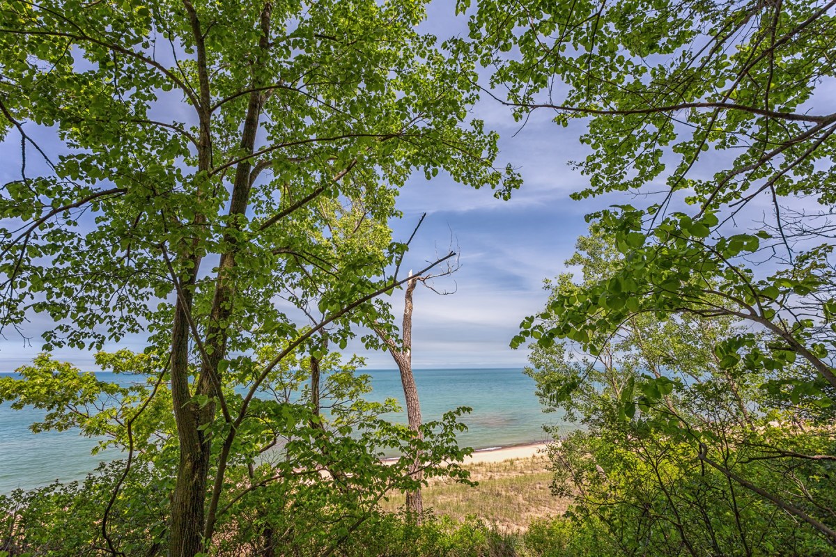Lake View from Dune Hill