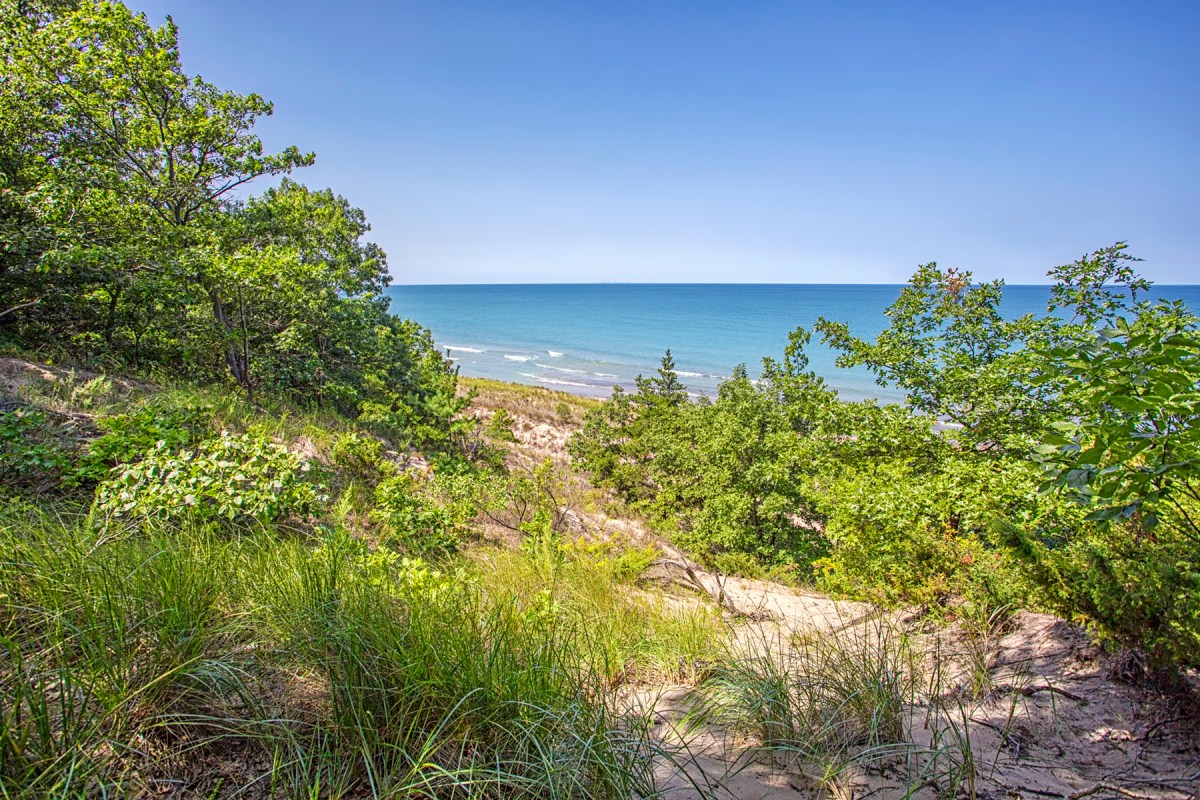 Lake View from Trail Nine