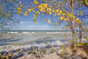 Lake Waves Seen Beneath Autumn Leaves