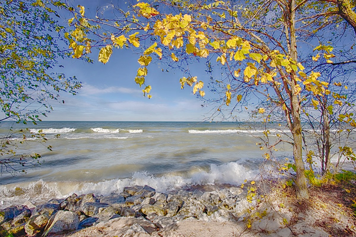 Lake Waves Seen Beneath Autumn Leaves