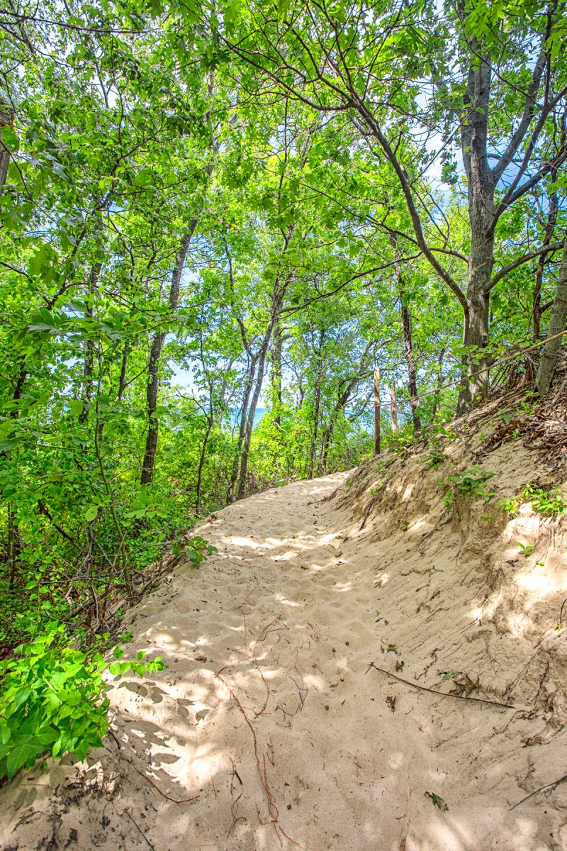 Last Turn in the Trail