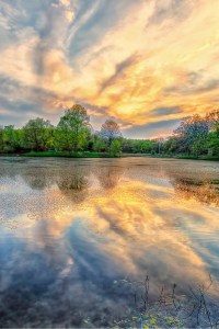Late-Day Sun at End of May