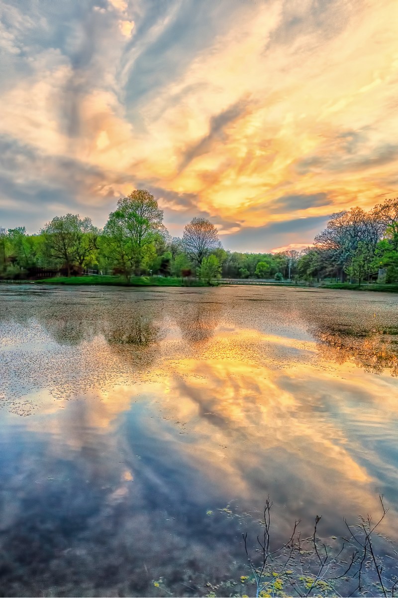 Late-Day Sun at End of May
