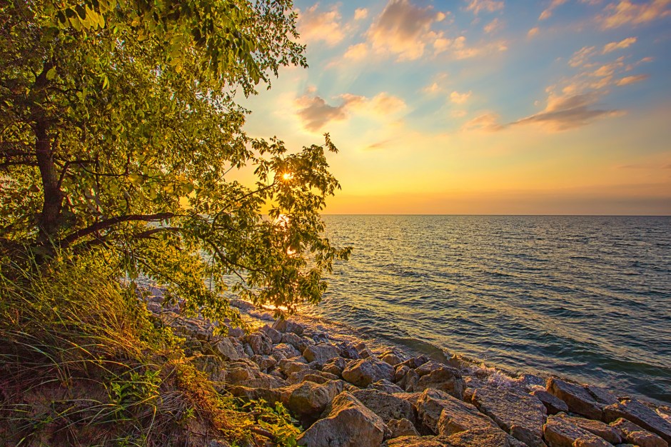 Late Sun Seen Through Leaves