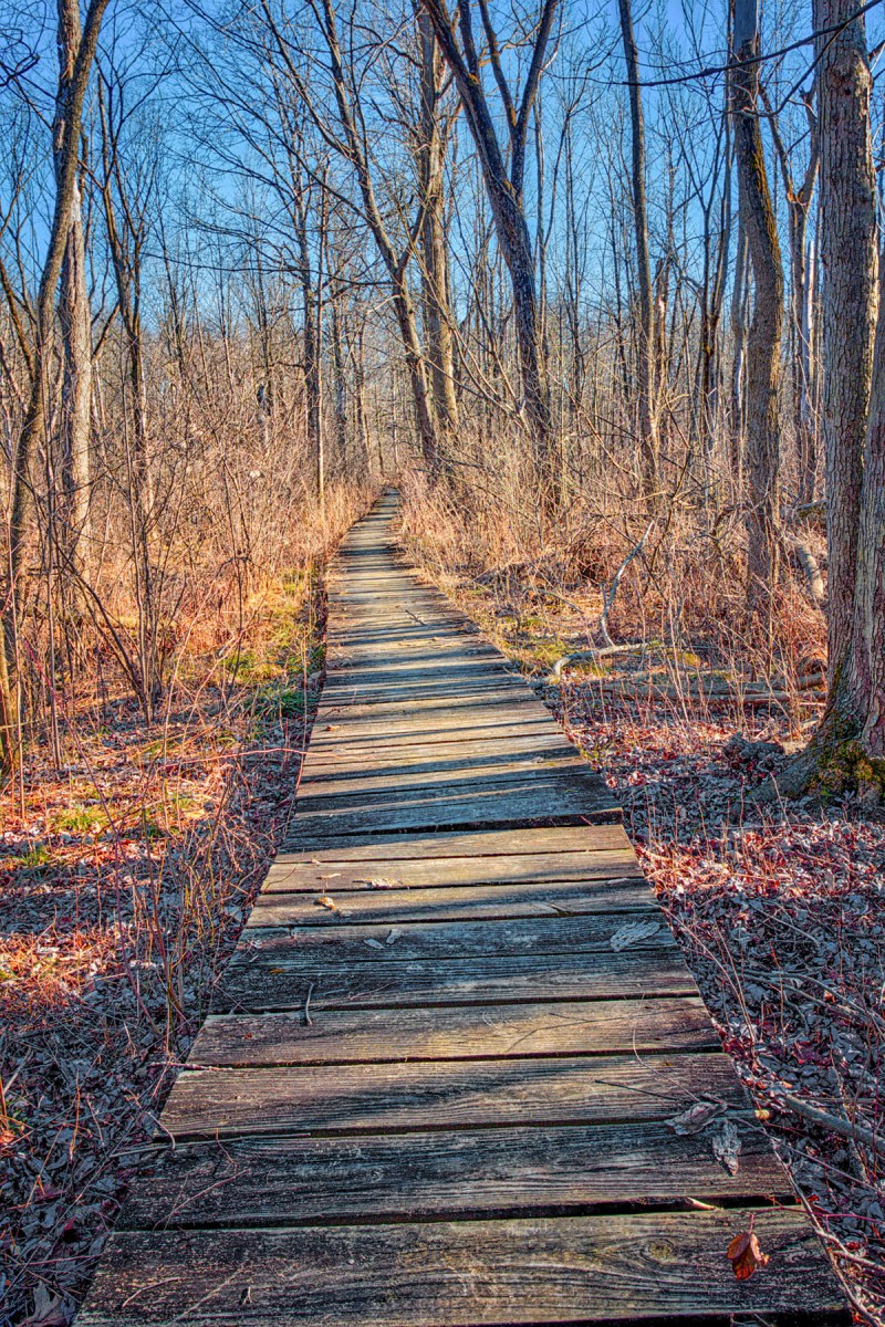 Marsh Bridge in February