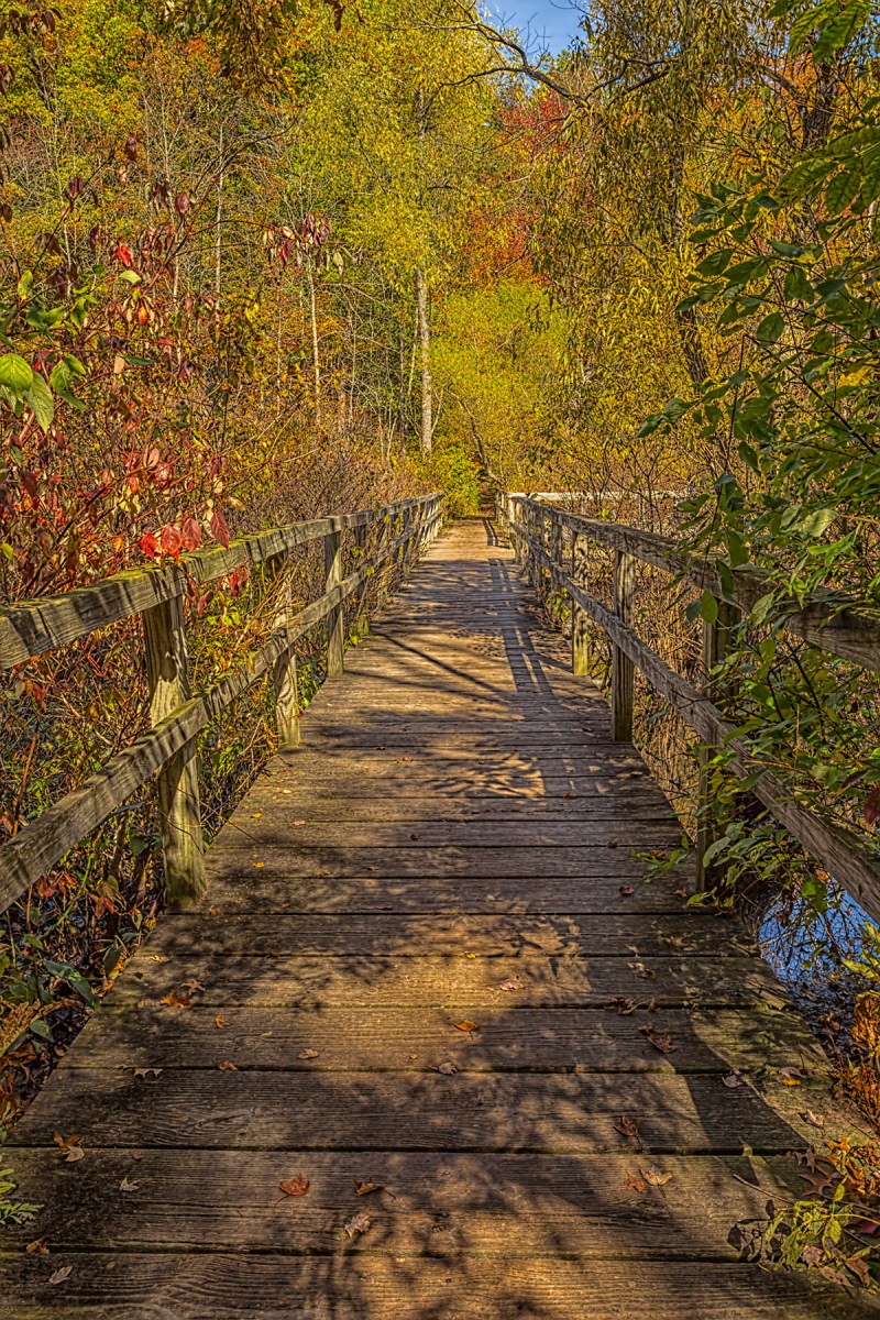 Marsh Bridge in October Light