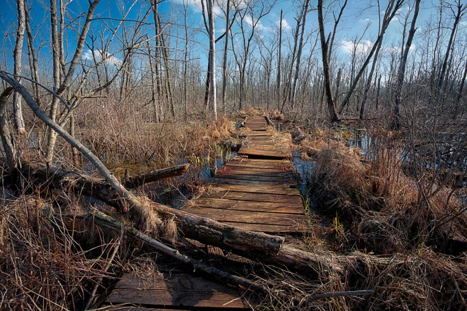 Marsh Trail Bridge in Winter Thaw