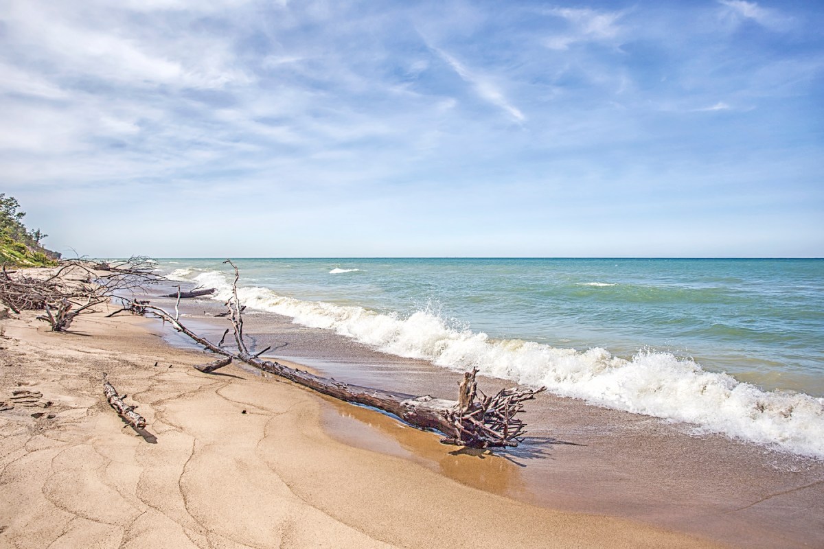 Mt. Baldy Beach at Beginning of September