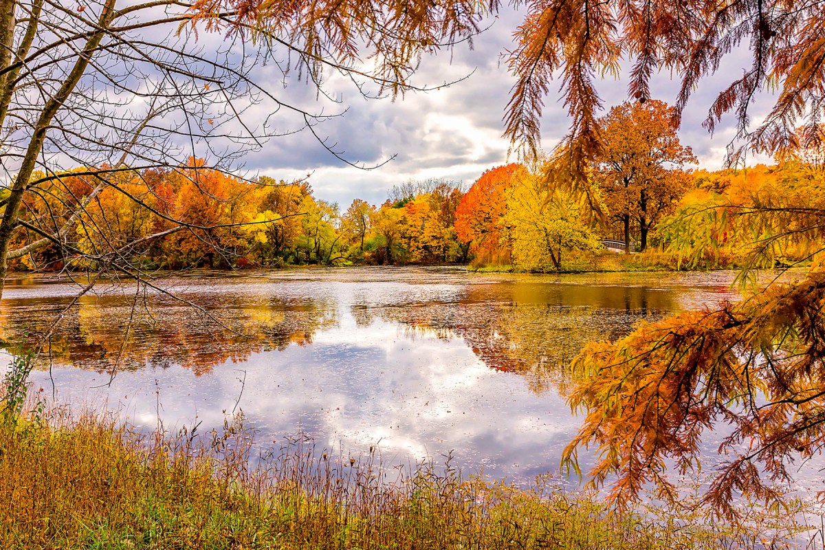 November Overcast at Northern Indiana Lake